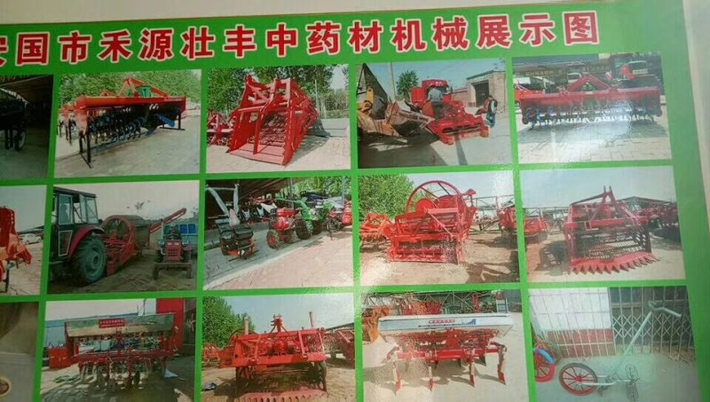 自己基地生产的优质半夏种苗干净无杂质，可视频看货