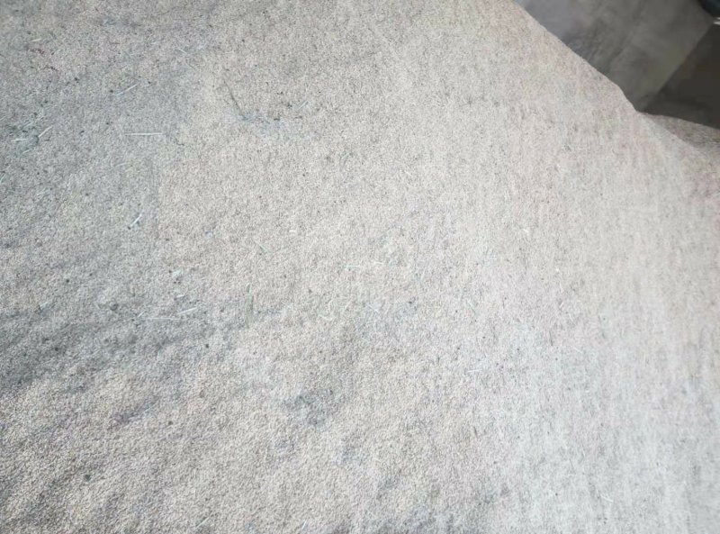 杂交水稻品质保证产地直发可视频看货欢迎咨询