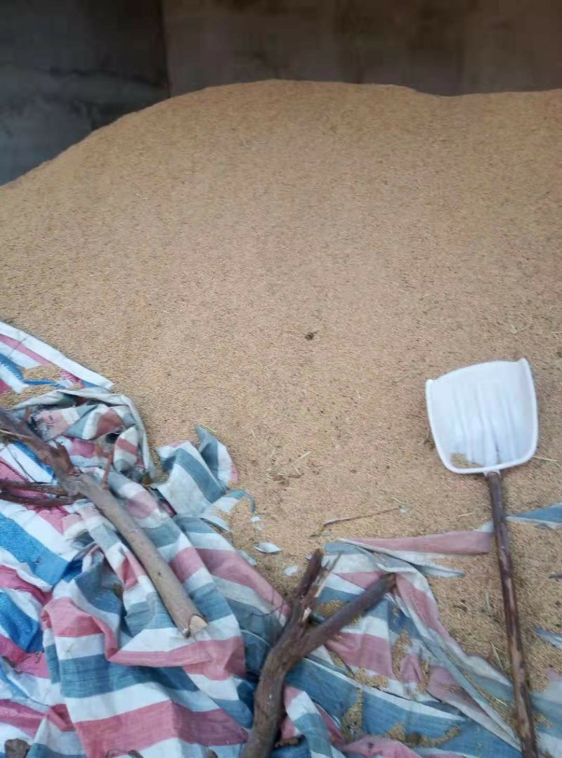 杂交水稻品质保证产地直发可视频看货欢迎咨询