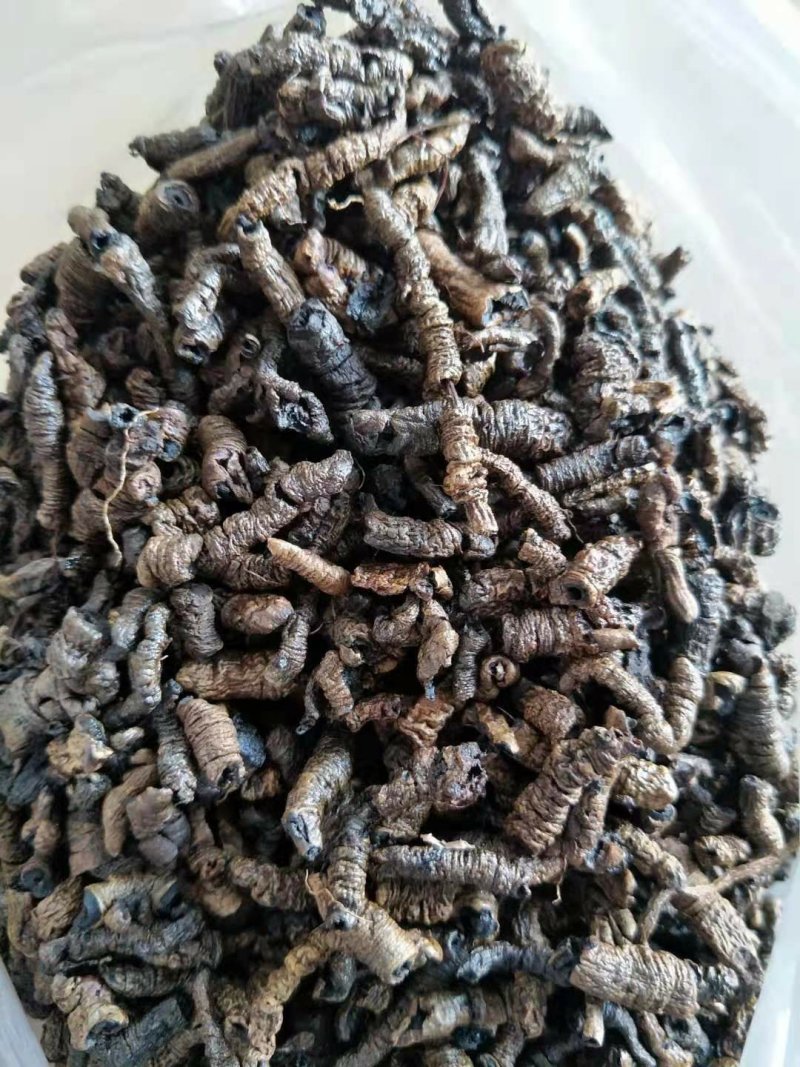 巴戟天三级