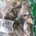 黄精片两斤甜黄精泡酒散装农家初选农副产品