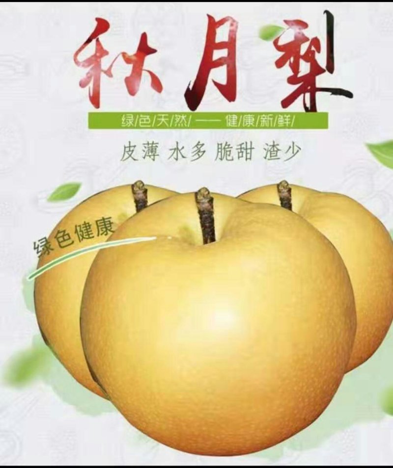 秋月梨