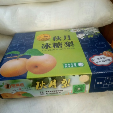 秋月梨