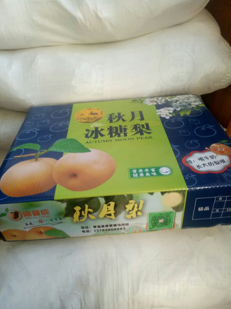 秋月梨