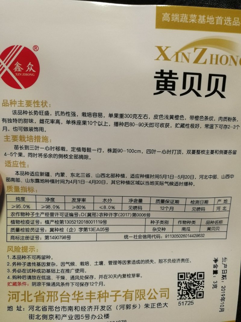 金黄色南瓜种子贝贝南瓜种子肉质粉条口感甜嫩