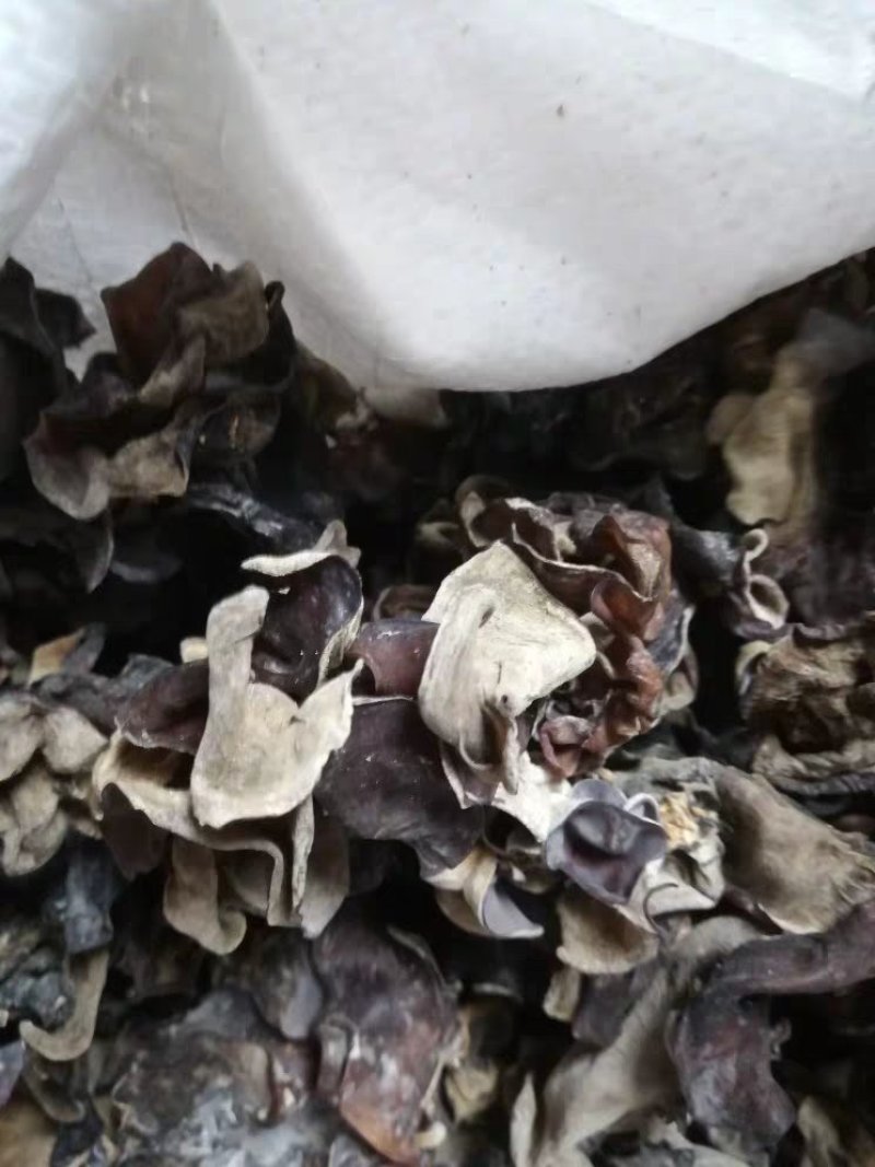 聚便宜毛木耳3斤5斤运费木耳大木耳皮木耳
