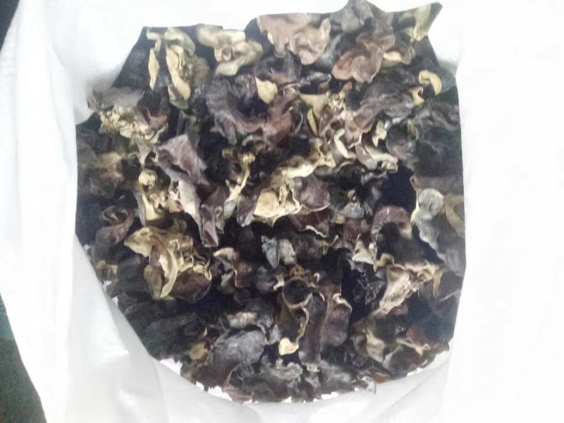 聚便宜毛木耳3斤5斤运费木耳大木耳皮木耳