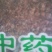 蝉蜕