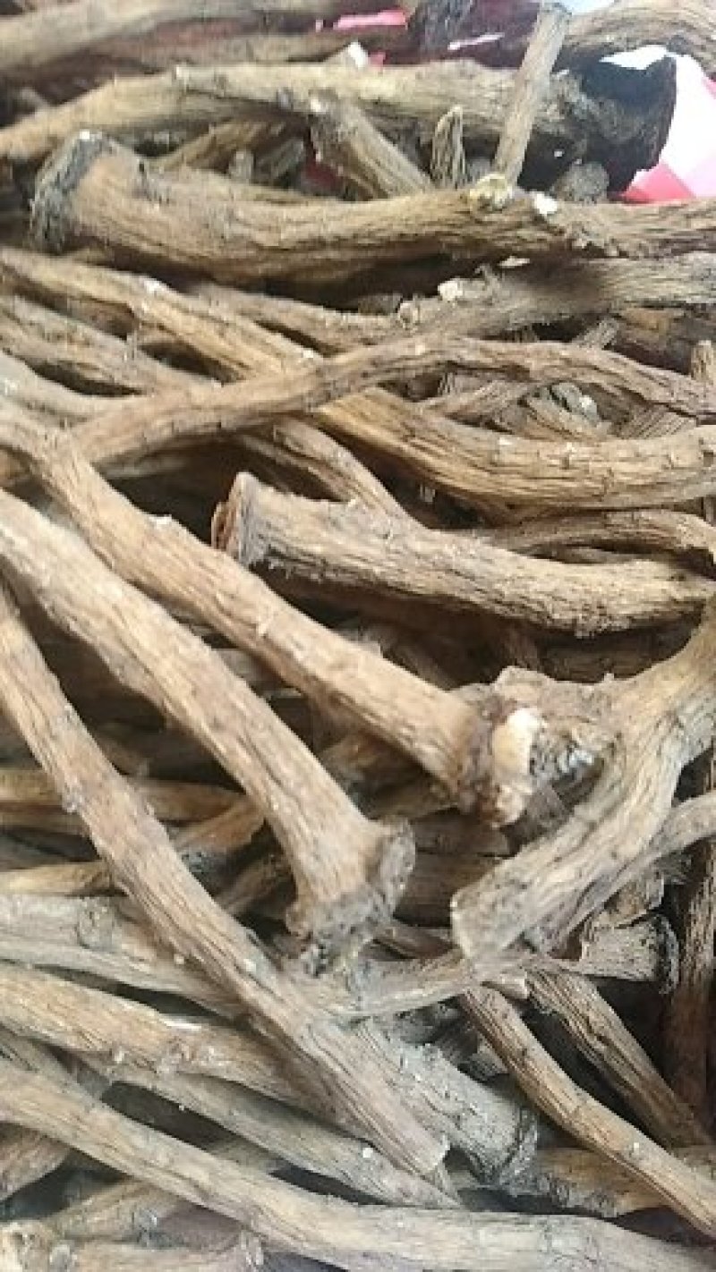 【蒲公英根】质量有保证一手货源产地直销