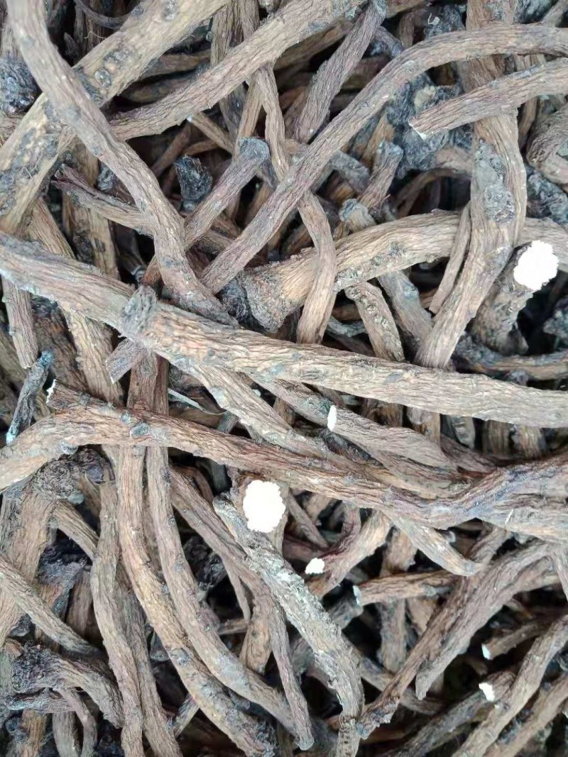 【蒲公英根】质量有保证一手货源产地直销