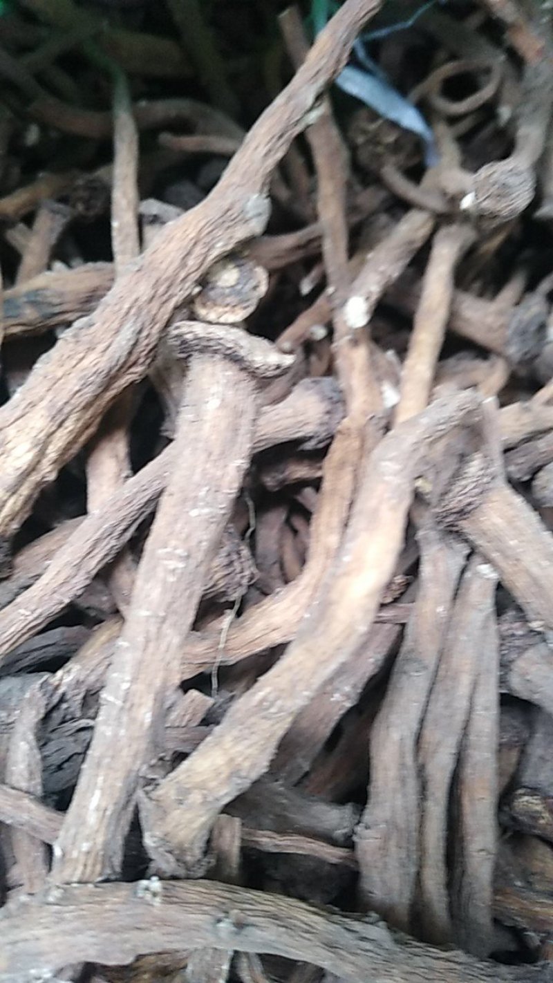 【蒲公英根】质量有保证一手货源产地直销