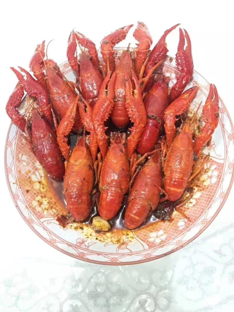 小龙虾7-9钱（35-45克）活虾小龙虾主养