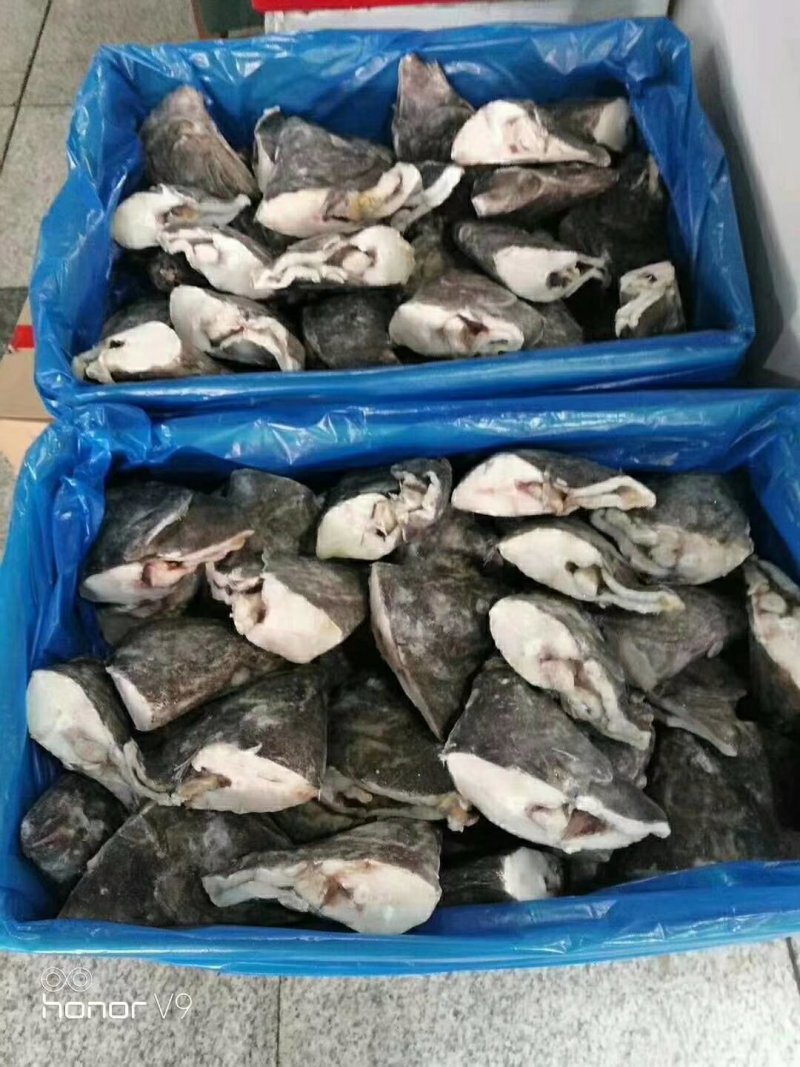 鲽鱼头