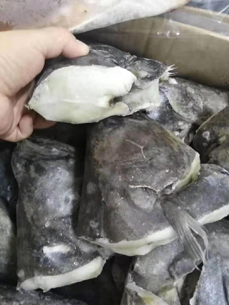 鲽鱼头