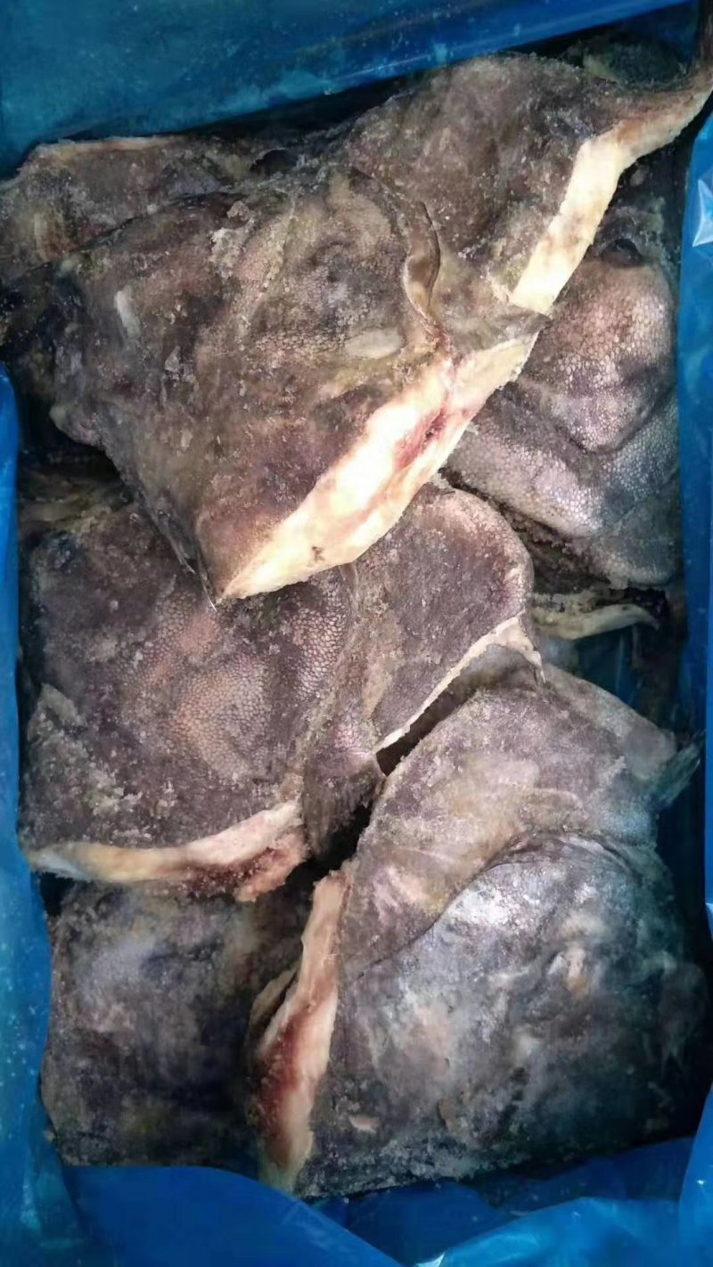 鲽鱼头