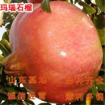 玛瑙石榴苗品种石榴树苗南北方种植软籽石榴树苗果树