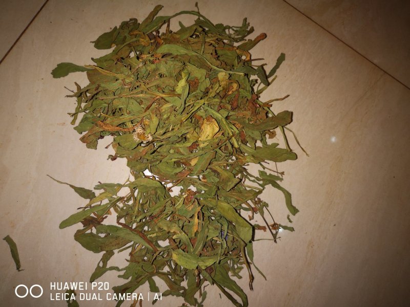 云南红河兴隆灯盏花药材批发