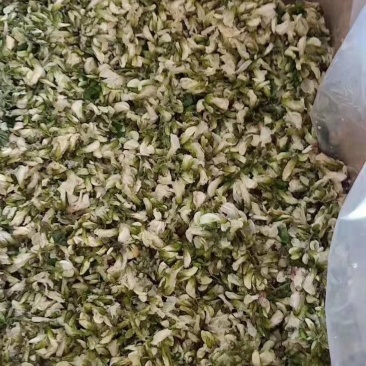 槐花（鲜干冻）天然绿色食品原料。量大从优。冷链物流全国配