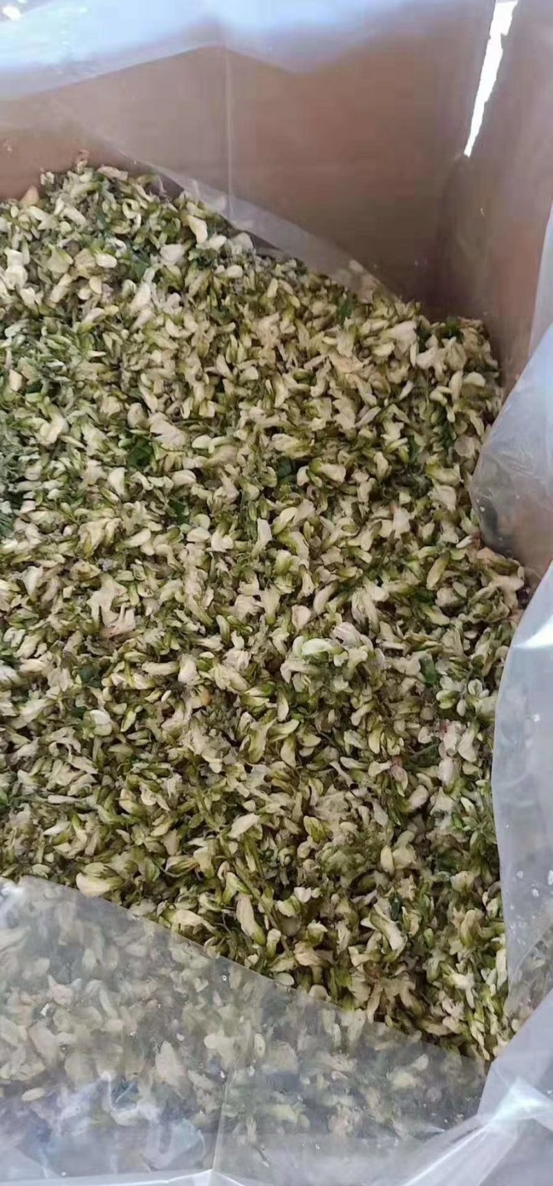 槐花（鲜干冻）天然绿色食品原料。量大从优。冷链物流全国配