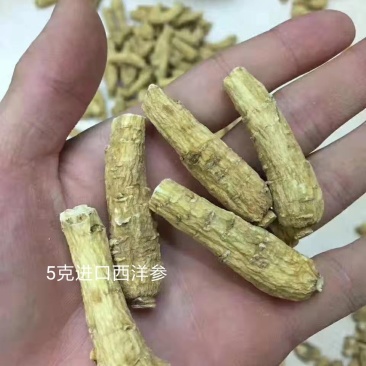 加拿大西洋参段正宗花旗参整枝切片打粉含片进口西洋参大片