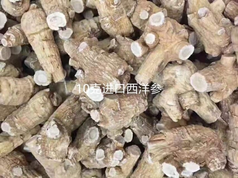加拿大西洋参段正宗花旗参整枝切片打粉含片进口西洋参大片