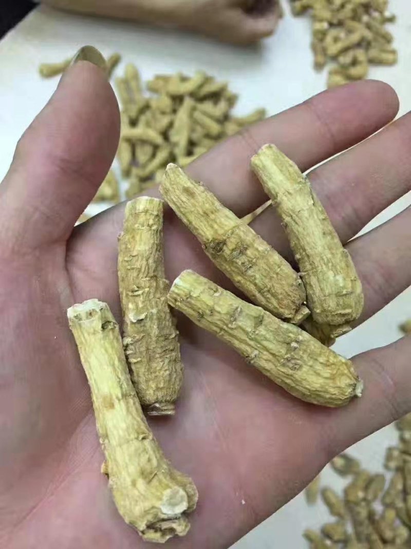 加拿大西洋参段正宗花旗参整枝切片打粉含片进口西洋参大片