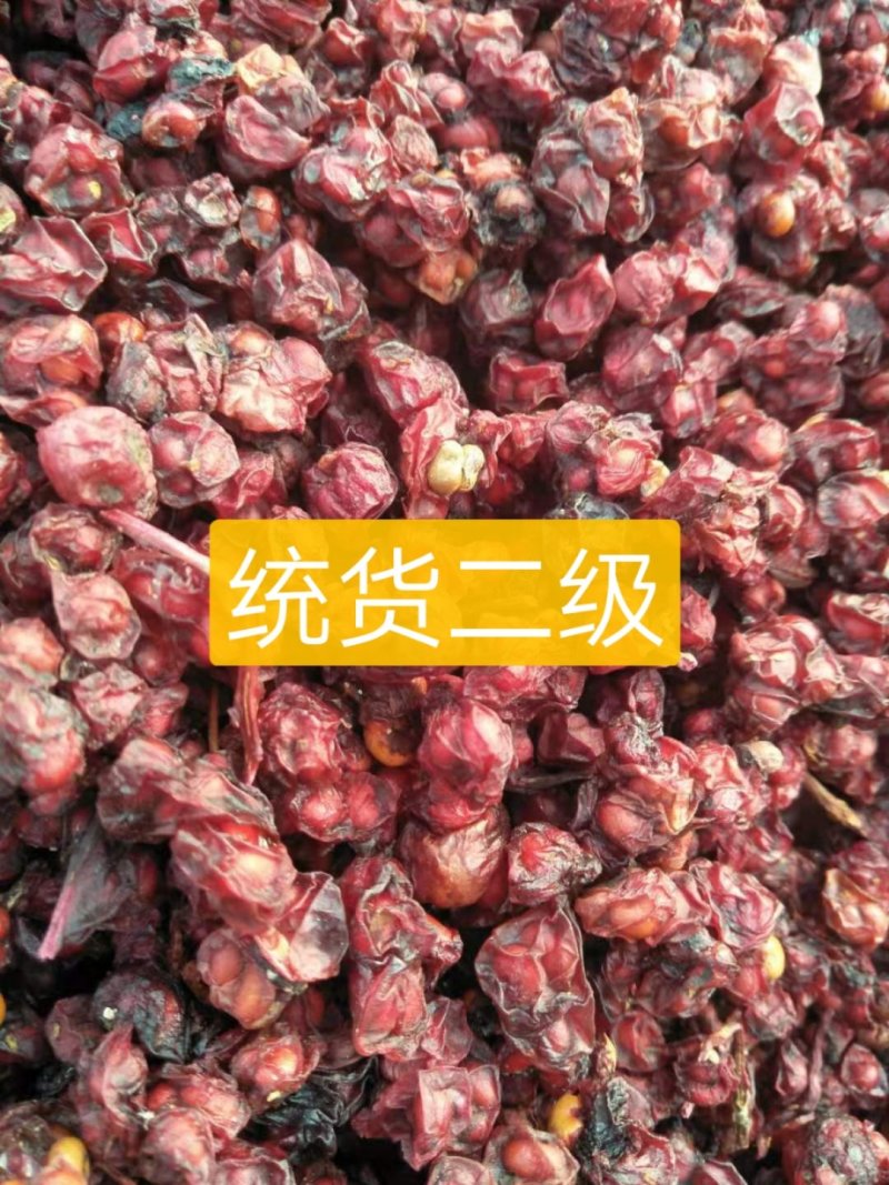 【北五味子】东北优质野生货，一手货源，产地直销