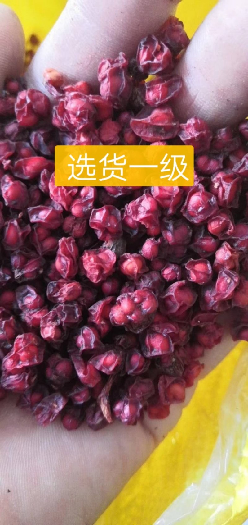 【北五味子】东北优质野生货，一手货源，产地直销