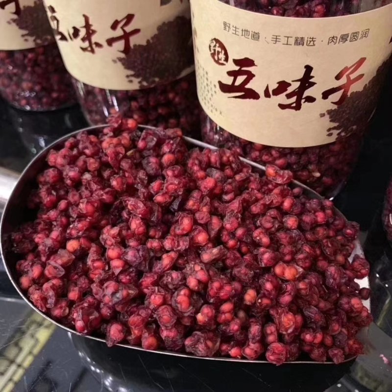 【北五味子】东北优质野生货，一手货源，产地直销
