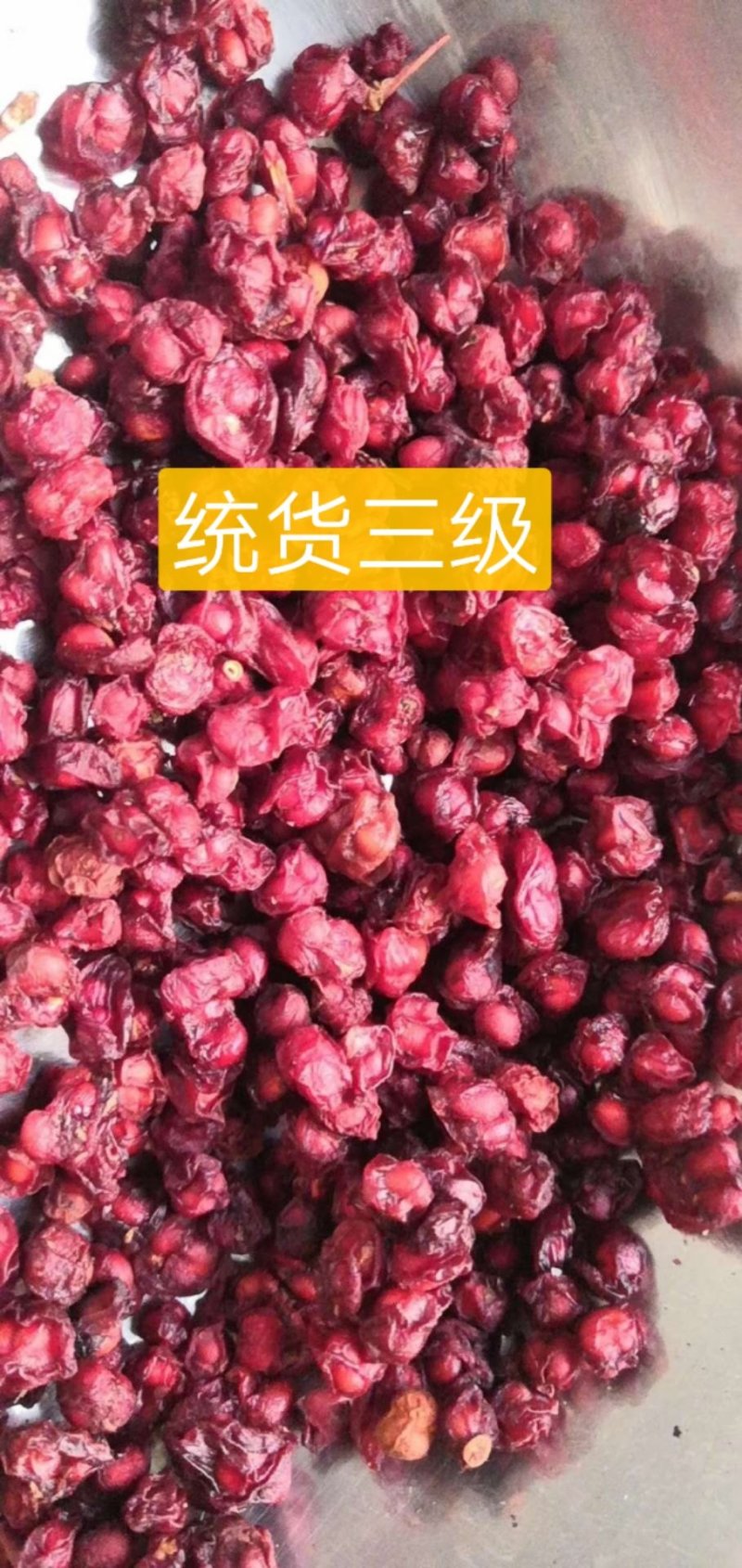 【北五味子】东北优质野生货，一手货源，产地直销