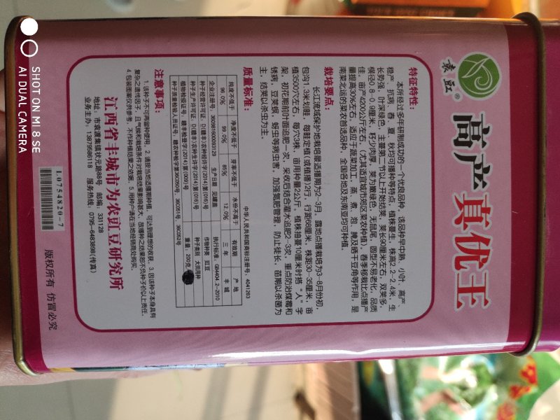 高产真优王豇豆种子早熟高产抗病荚条嫩绿色