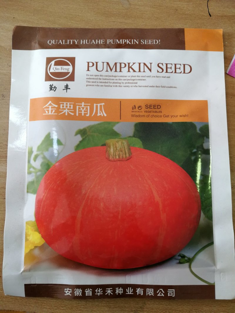 【优质】金栗南瓜贝贝南瓜种子板栗南瓜种子