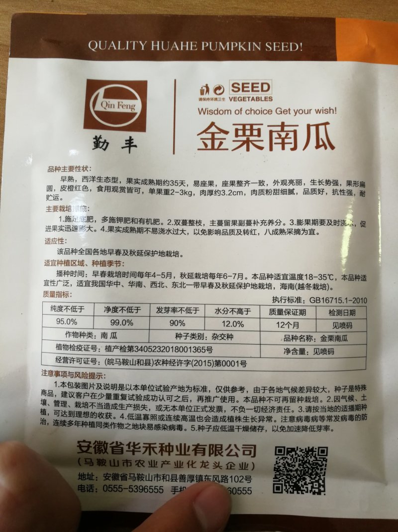 【优质】金栗南瓜贝贝南瓜种子板栗南瓜种子