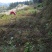 荒地流转