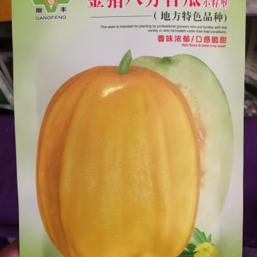 【优质】丑八怪甜瓜种子金猪八方香瓜