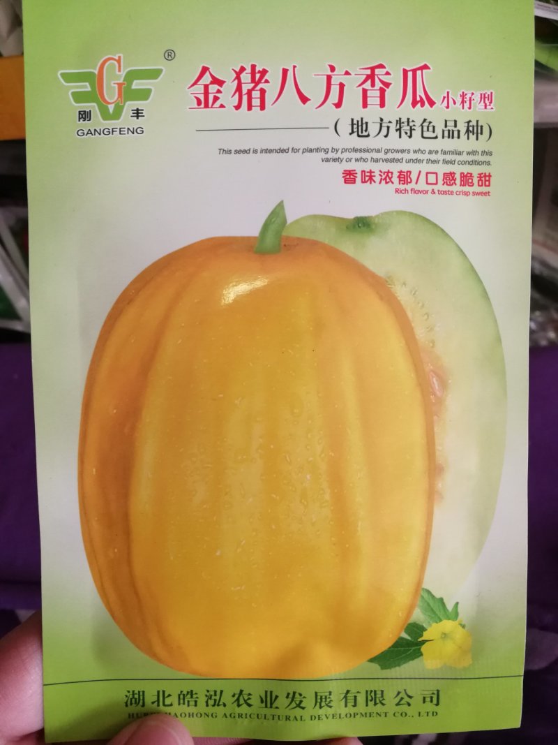 【优质】丑八怪甜瓜种子金猪八方香瓜