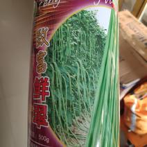 致富鲜翠豆角种子早熟高产抗病荚条翠绿色