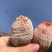 柿饼