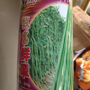 致富鲜翠豆角种子早熟高产抗病商品荚翠绿色