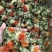 供应优质红花红花头橙菠萝花地摊畅销新产品