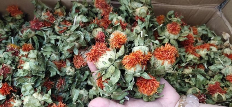 供应优质红花红花头橙菠萝花地摊畅销新产品