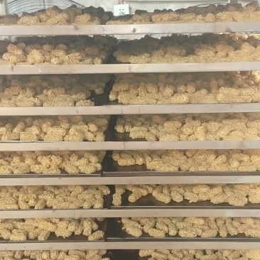 厂家直销燕麦酥，猫耳酥，小麻花等酥饼