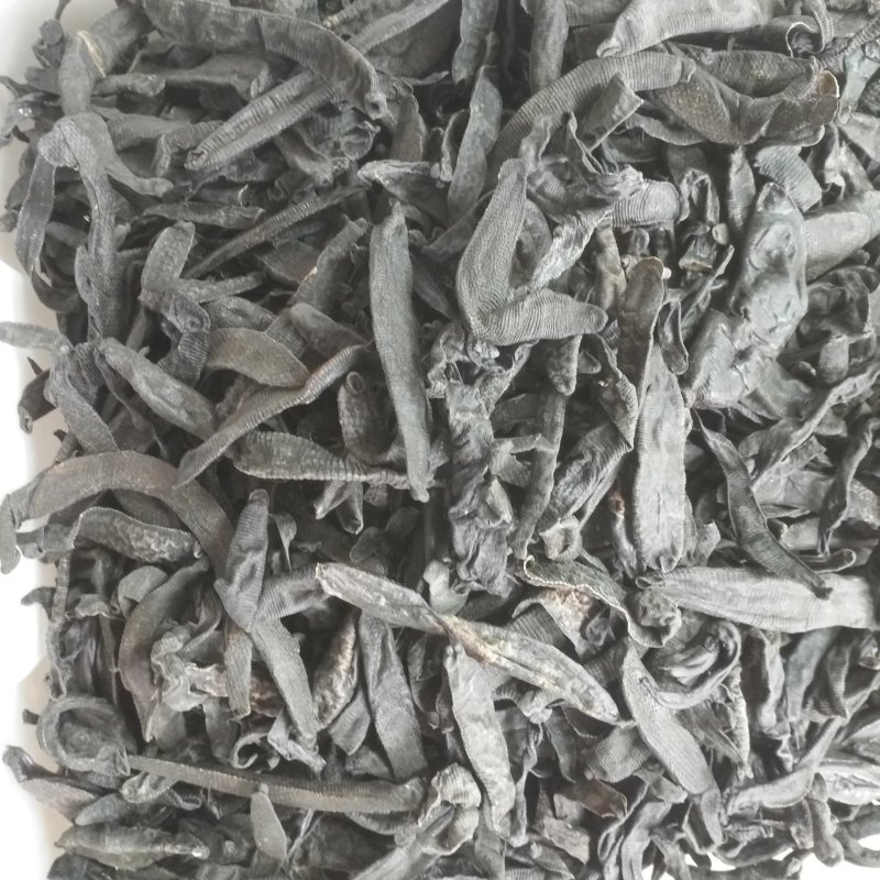 水蛭清水水蛭蚂蟥蚂蟥干