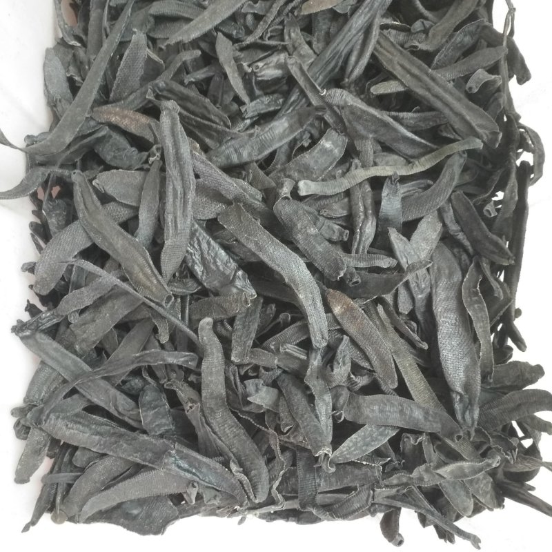水蛭清水水蛭蚂蟥蚂蟥干