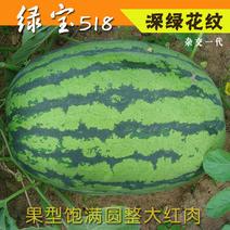 绿宝518西瓜种子春季西瓜种籽大果椭圆形双红瓤原装正品