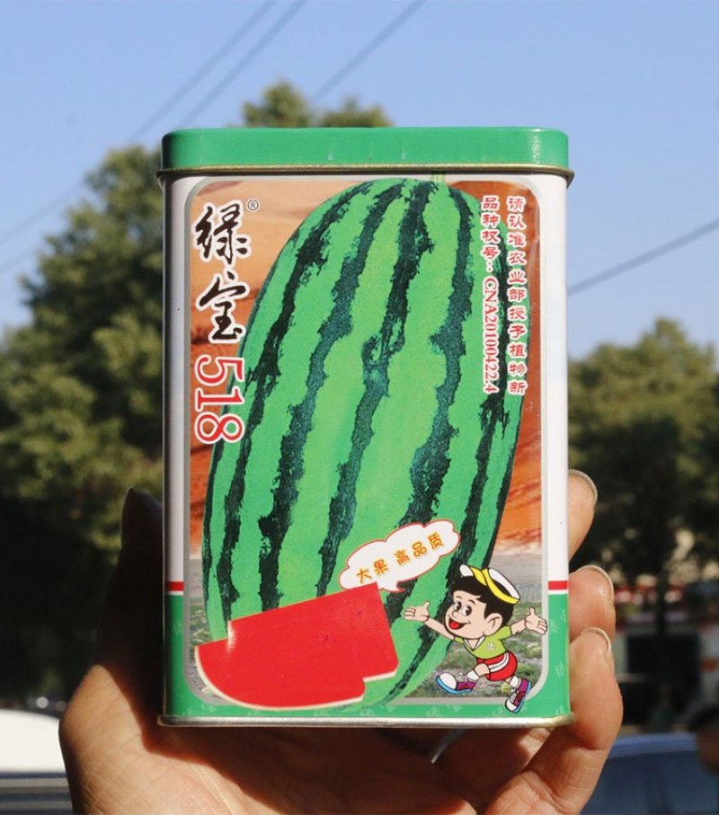 绿宝518西瓜种子春季西瓜种籽大果椭圆形双红瓤原装正品