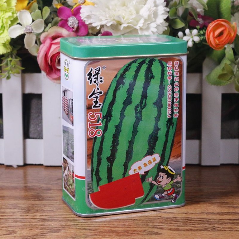 绿宝518西瓜种子春季西瓜种籽大果椭圆形双红瓤原装正品