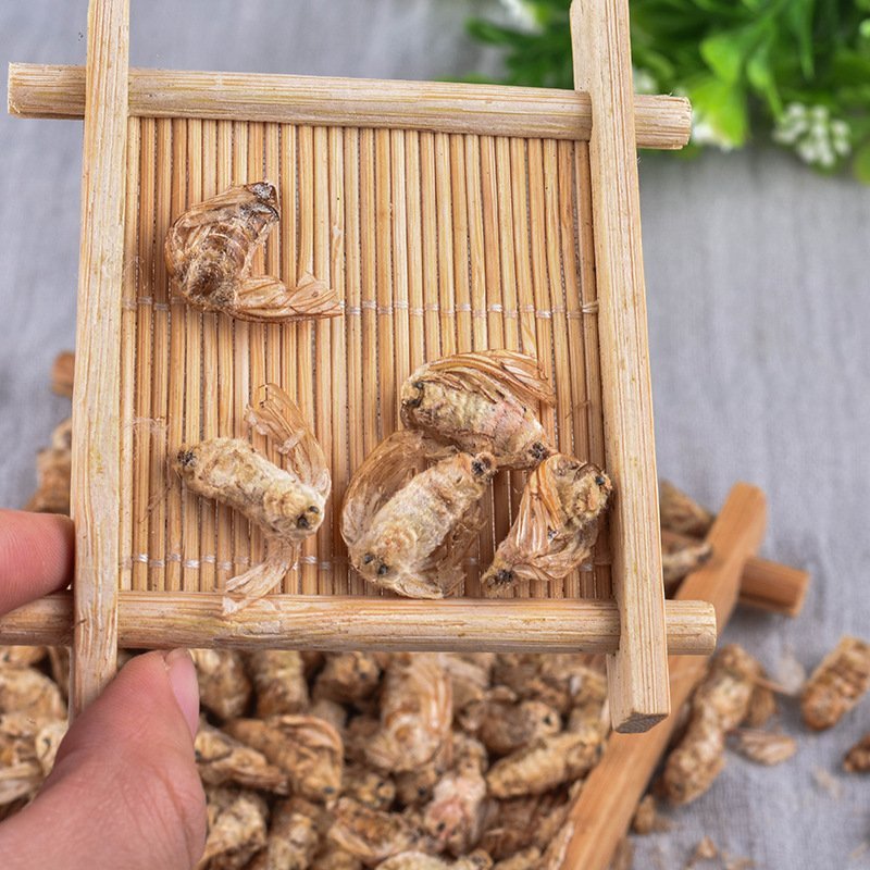 雄蚕蛾晚蚕蛾泡酒原料药材