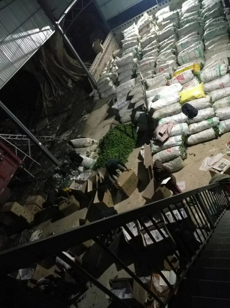 云南保山大棚蔬菜