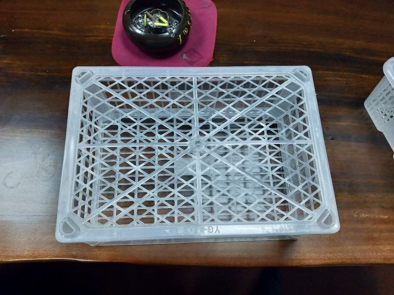 大量供应东方红，招微商电商代理，有意者详谈